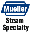 mueller steam logo